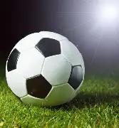 鸟中王者,今晚,期独家预测,河南体彩,河南体彩网,河南体彩网官网,体育彩票,体彩大乐透,竞彩足球,体彩公益