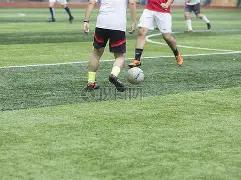 周晓独家揭,期大乐透智,能复式选号,河南体彩,河南体彩网,河南体彩网官网,体育彩票,体彩大乐透,竞彩足球,体彩公益