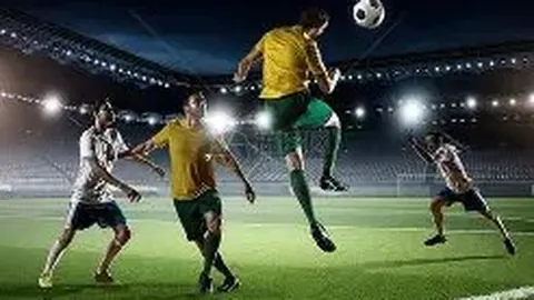 河南体彩网 资讯 083010 rg2