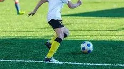 [双色球盛宴]2026013期独家号码秘籍揭晓，富甲团队倾力推荐，中奖高手集结！