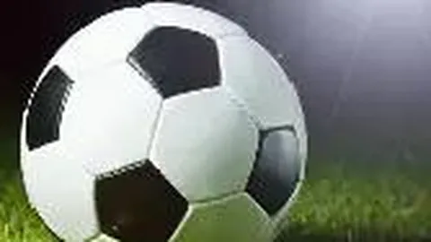 [鸟中王者]今晚3031期独家预测：金码闪耀，非8莫属！🌟🎉