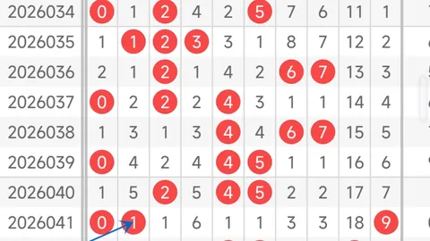 第2026021期 大乐透2026021期专家推荐后区三胆，