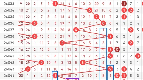 大乐透26020期专家质合分析推荐前区五胆奖号