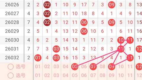 大乐透26021期专家推荐：红蓝复式质合分析及头奖预测